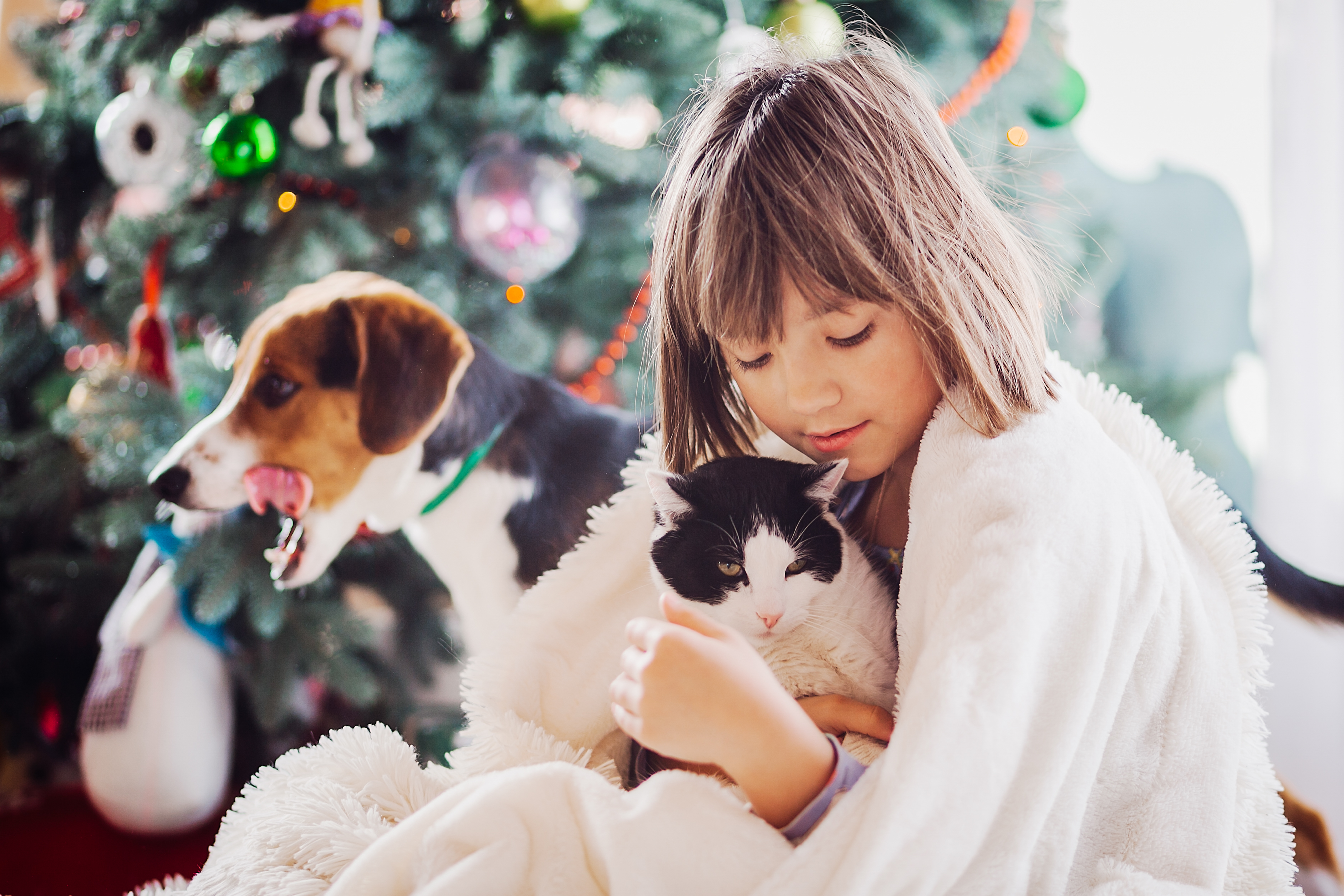 Pet owner with cat