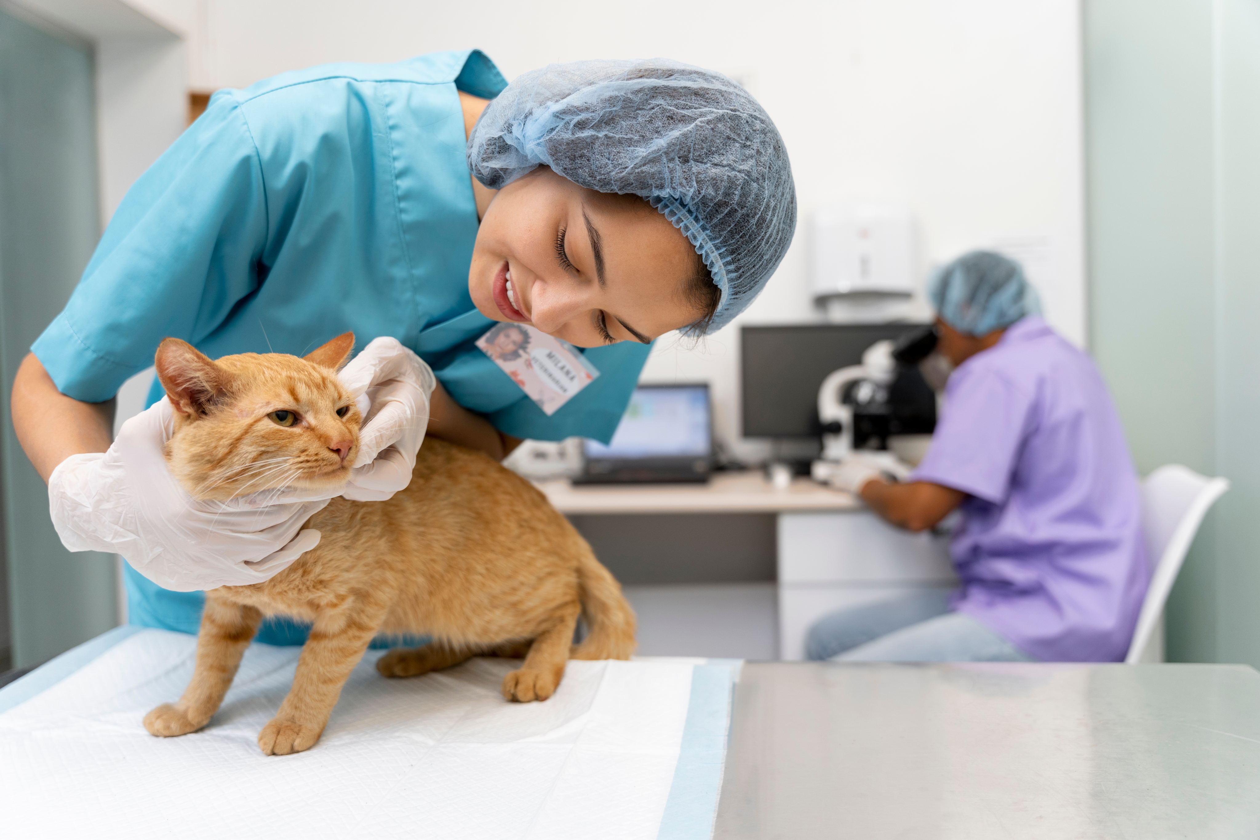 Veterinarian with dog